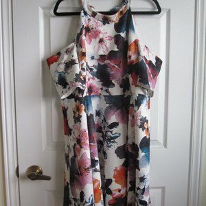 EUC Reitman's gorgeous summer dress